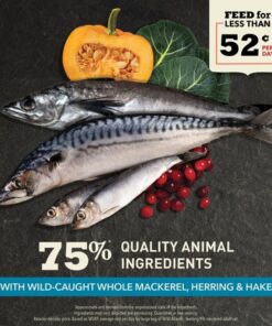 Acana Wild Atlantic providencia