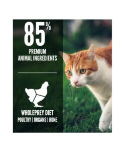 Croquetas Orijen Fit & Trim para gatos alimento alto en proteína