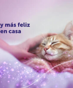 feliway classic refill