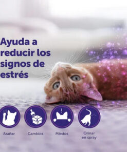 Alternative view of Feliway spray 60mL
