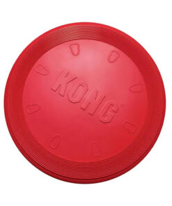 kong flyer