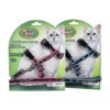 mascan arnes gatos