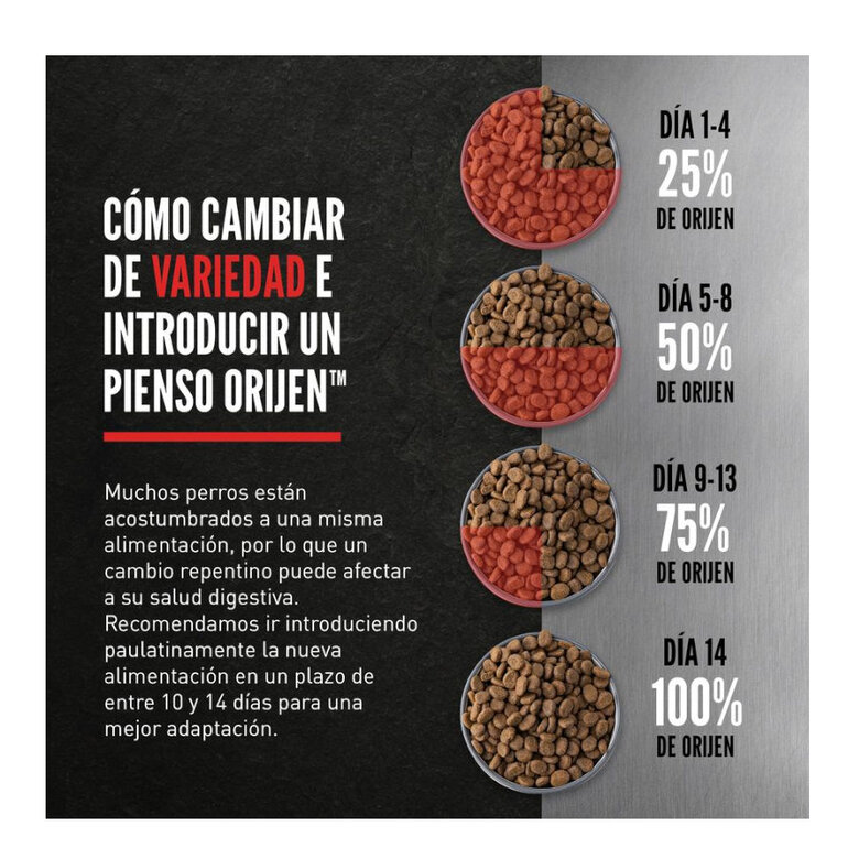 Orijen Six fish Recipe para perros - Imagen 3