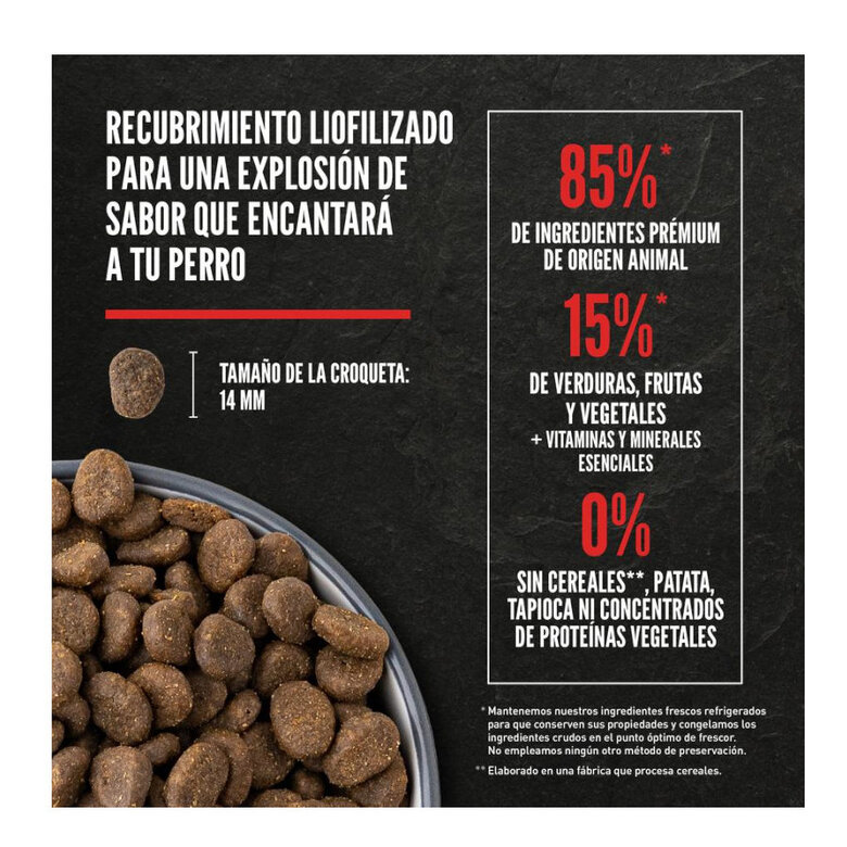 Orijen Six fish Recipe para perros - Imagen 4