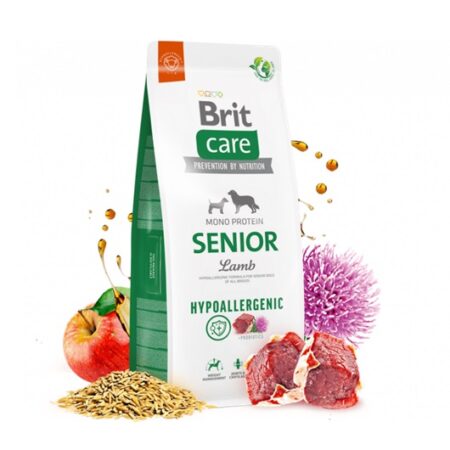 Brit Care Senior Cordero providencia