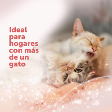 Feliway Friends Difusor - Imagen 3