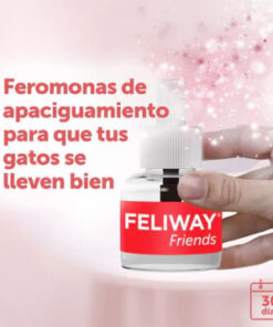 feliway friends