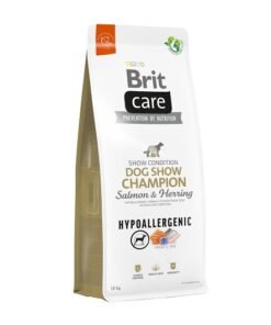 Brit Care Show Champion 2023