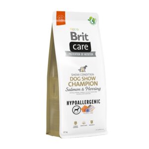 Brit Care Show Champion 2023