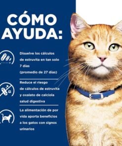 Hills cd Gato