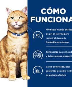 Hills cd Gatos
