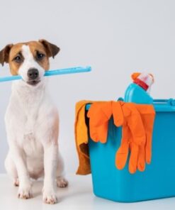 Quita Manchas y olores