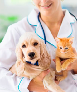 Farmacia Veterinaria