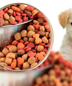 Alimentos para Perros