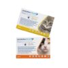 Revolution Plus para gato