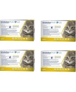 revolution plus gato promo
