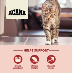 Acana Indoor gato
