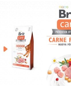 brit care indoor nuevo envase