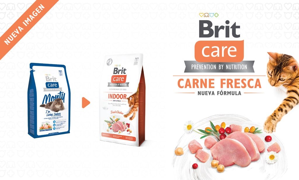 brit care indoor nuevo envase