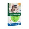 Advantage para gatos hasta 4kg