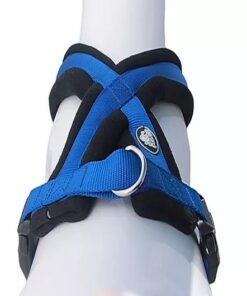 Arnes Acolchado Cruzado Mascan - XS