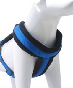 Arnes Acolchado Cruzado Mascan - XS