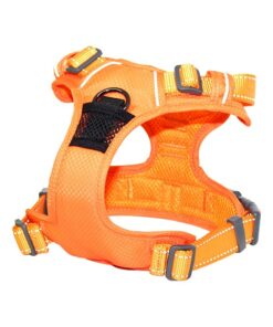 Arnes deportivo control tiro naranjo