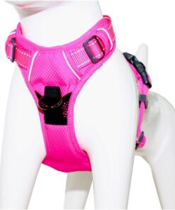 Arnes deportivo de control Mascan fucsia