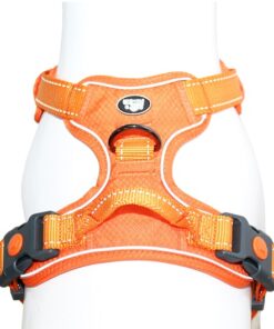 Arnes deportivo de control Mascan naranjo