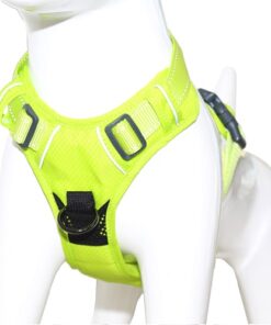 Arnes deportivo de control Mascan verde