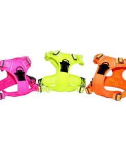 Arnes deportivo para perros
