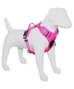 Arnes deportivo para perros fucsia