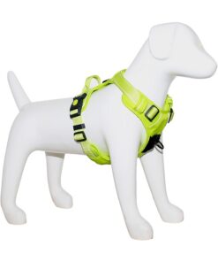 Arnes deportivo para perros verde