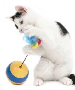 Catit Spinning Bee Gato