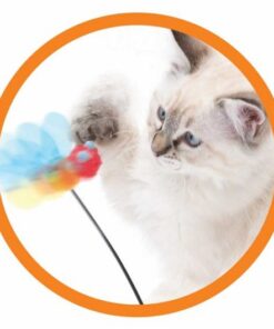 Catit Spinning Bee Gato