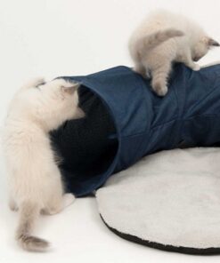 Catit Tunel Para Gatos