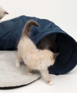 Catit Tunel Para Gatos