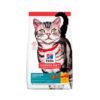 Hills Indoor Gato Adulto
