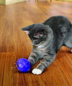 Kong Bola Dispensadora para gatos