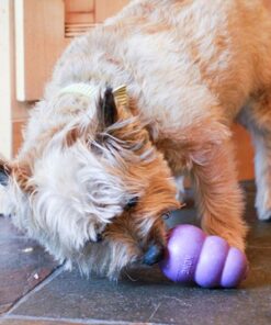 Kong Senior para Perros