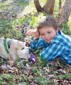 Kong Senior para Perros