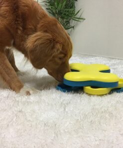 Nina Ottoson - Dog Tornado Santiago