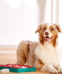 Nina Ottosson - Dog Brick nivel 2