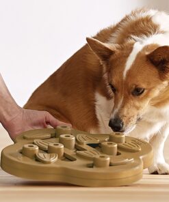 Nina Ottosson - Dog Hide N Slide