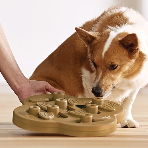 Nina Ottosson - Dog Hide N Slide