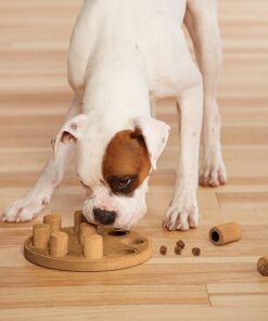 Nina Ottosson - Dog Smart level 1