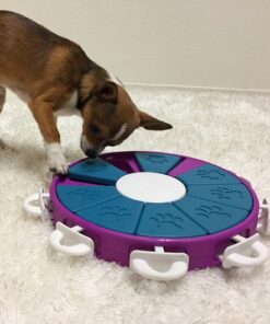 Nina Ottosson - Dog Twister