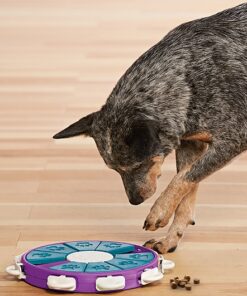 Nina Ottosson - Dog Twister nivel 3