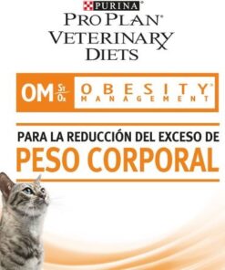 Obesidad gatos