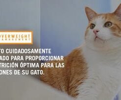 Alternative view of Proplan OM - Tratamiento Obesidad Gatos - 1.5kg